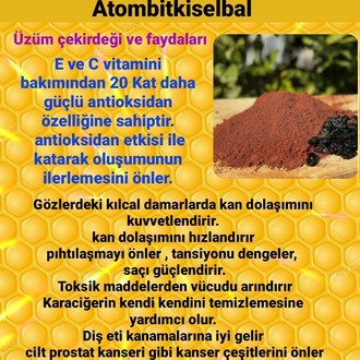 Polen ve propolisli Apiterapi Atombitkiselbal 2 adet alımda 75 tl kar edin