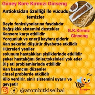 3 adet üründen istediğini seççç