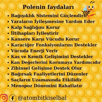 Polen ve propolisli Apiterapi Atombitkiselbal 2 adet alımda 75 tl kar edin