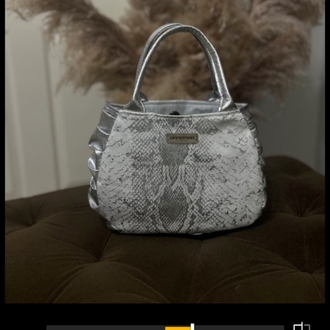 Silver Bag