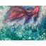 Koi