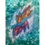 Koi