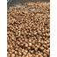 Çiğ Fındık İçi (500 Gr)