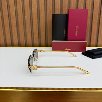 Carti Premium Sunglasses (İthal)