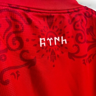 Türkiye Bozkurt Türük Armalı Kırmızı Mikro T-shirt
