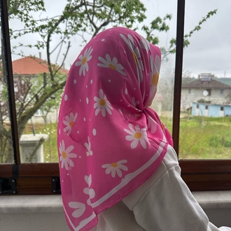 Pembe büyük Papatya