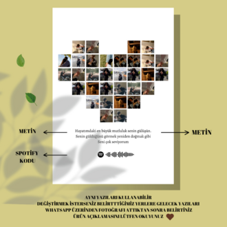 KALP ANI POSTER