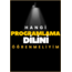 Hangi  programlama  dilini  öğrenmeliyim?