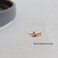 Tragus | Piercing (5 farklı model)