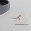  Tragus | Piercing (4 farklı model)