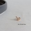 Tragus | Piercing (5 farklı model)