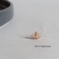 Tragus | Piercing (5 farklı model)