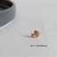 Tragus | Piercing (5 farklı model)