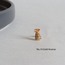 Tragus | Piercing (5 farklı model)