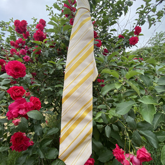 Etro Milano Silk Necktie