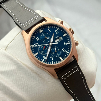 IWC Schaffhausen Erkek Saat
