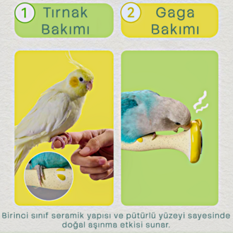 TAFIT | Apple Premium Seramik Bakım Tüneği