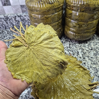 TARSUS ÜZÜM YAPRAĞI 