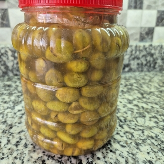 Yeşil gemlik taş kırma 2 lik pet bidon