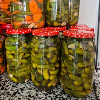 KORNİŞON TURŞU