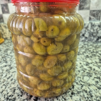 Yeşil gemlik taş kırma 2 lik pet bidon