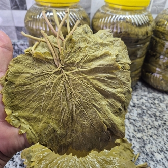 TARSUS ÜZÜM YAPRAĞI 