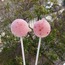 Lolipop şeker