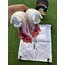 NIKE AİR ZOOM SPURFLY 15 ELİTE PROF 