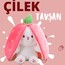 ÇİLEK UZUN KULAKLI PELUŞ TAVŞAN OYUNCAK-YASTIK 25CM