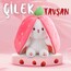 ÇİLEK UZUN KULAKLI PELUŞ TAVŞAN OYUNCAK-YASTIK 35CM