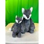 MAVİ TİLKİ PELUŞ OYUNCAK  75 CM