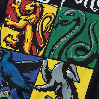Harry Potter DA-2 Oversize Unisex T-Shirt