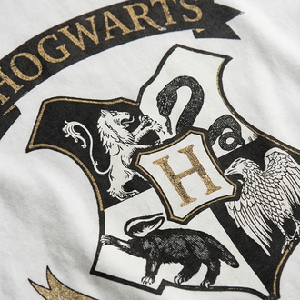 Harry Potter DA-1 Oversize Unisex T-Shirt
