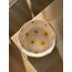 Sunflower Bowl