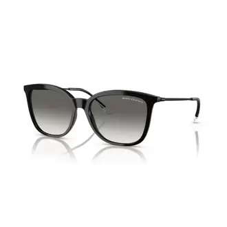 ARMANI EXCHANGE 4151S 815811 Kadın Güneş Gözlüğü