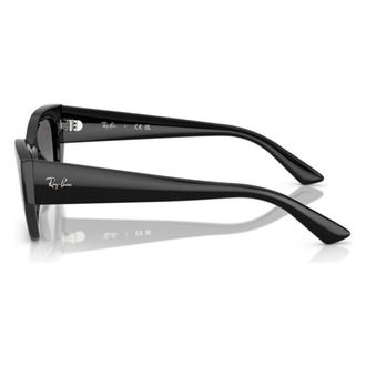 RAYBAN ZENA 4430 667711 Kadın Güneş Gözlüğü