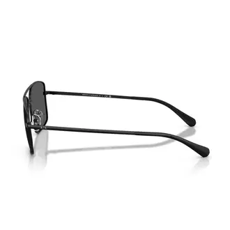 ARMANI EXCHANGE 2054S 600087 Erkek Güneş Gözlüğü