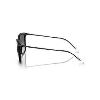 ARMANI EXCHANGE 4151S 815811 Kadın Güneş Gözlüğü