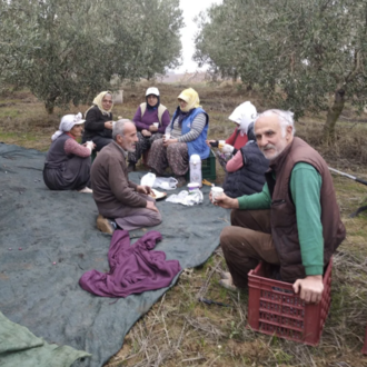 Kalamata Kuru Sele 4 KG