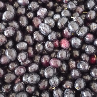 Naturel Sızma Zeytinyağı 5 LT