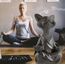 Yoga Yapan Kedi – Sizin ve Kediniz İçin Huzurlu Bir Dokunuş