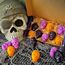 Halloween Kuru Kafa 5 Model 10' Lu Set 130 Gram Lüks El Yapımı Soya Wax Melts Buhurdanlık Mumu 