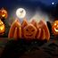 Halloween Yarasa 50 Gram Lüks El Yapımı Soya Wax Melts Buhurdanlık Mumu