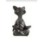 Yoga Yapan Kedi – Sizin ve Kediniz İçin Huzurlu Bir Dokunuş