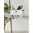 3Lü Taşlı Yıldız Vip Küpe