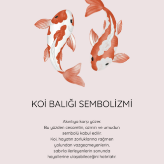 Akıntıya Karşı – Koi Collection