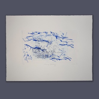 ''Ciliary Flocking'' - Deniz Gül