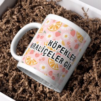 Kraliçe Kadın Kupa