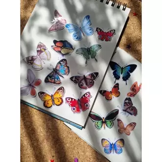 Şeffaf Büyük Boy Kelebek Sticker