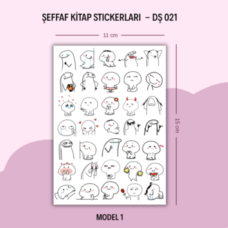DŞ-021 Kitap Stickerları